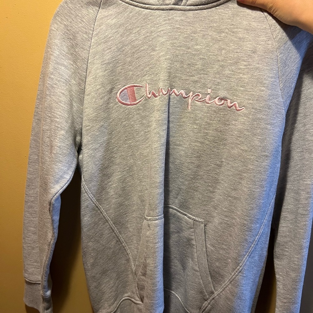 Champion Gray Hoodie